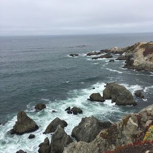 Meet your Posher, Iris